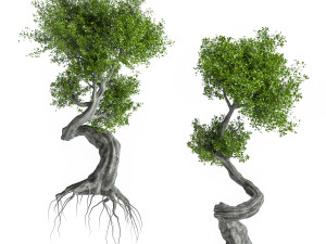2 Stylized Tree Modelo 3D