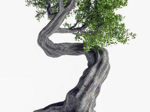 2 Stylized Tree 3D मॉडल