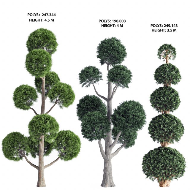 Garden Trees Model 3D .c4d .max .obj .3ds .fbx .stl .blend 