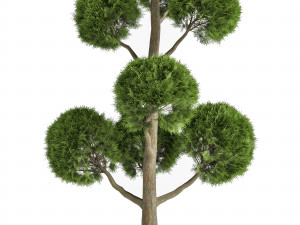 Garden Trees Model 3D