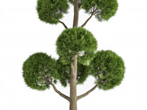 Садовые Деревья 3D Модель