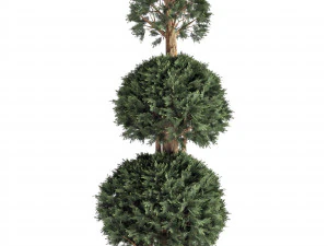 Садовые Деревья 3D Модель