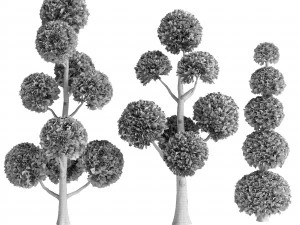 Садовые Деревья 3D Модель