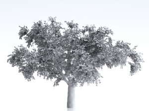 Apple tree 3D Model