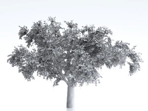 Apple tree 3D Model