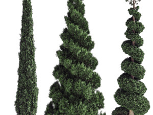 Pine tree set 02 Modelo 3D