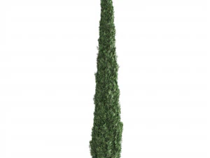 Set pino 02 Modello 3D