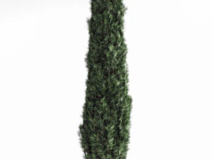 Set pino 02 Modello 3D