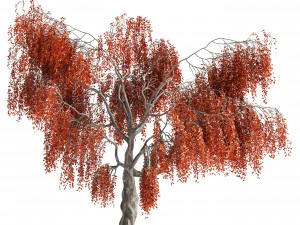Fantasy Weeping Tree 3D Model