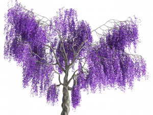 Fantasy Weeping Tree 3D Model
