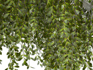 Fantasy Weeping Tree 3D Model