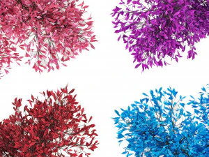 Фэнтезийное дерево 3D Модель