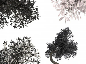 Фэнтезийное дерево 3D Модель