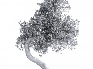 Fantasy tree 3D Model