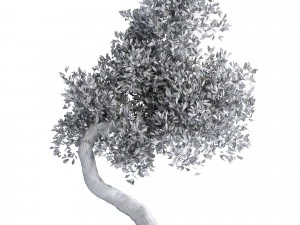 Фэнтезийное дерево 3D Модель
