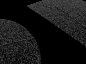 carpet collection rugs carpets decoration carpet decor pile palace rug walkway silk wool viscose cot 3D-Modell