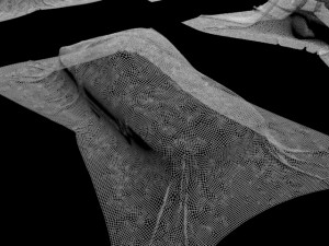 present car cloth presentation transport transportation shape concepts show celebration cover showro 3D Model
