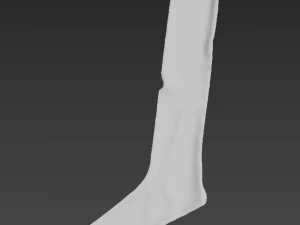 sock socks calcetin calcetines foot footwear wear winter feet classic cloth women men unishort f 3D Model