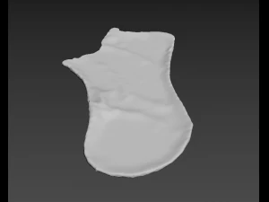 캐릭터 천 여자 겨울 클래식 천 양말 발 신발류 양말 칼세틴 칼세틴 칼세틴 f 3D 모델