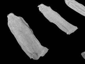 body bag collection corpse bodybag death crime scenes evidence morgue mortuary dead corpses man woma Modelo 3D