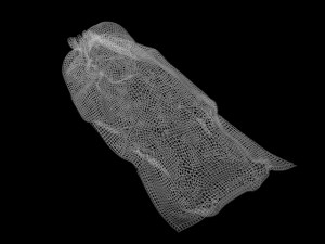 body bag collection corpse bodybag death crime scenes evidence morgue mortuary dead corpses man woma Modelo 3D