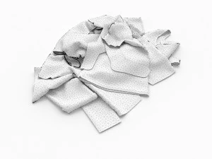 textured clothes lying 3D Model