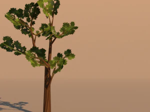 намальоване дерево lowpoly 3D Модель