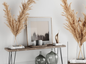 decoration set 01 pampas console 3D Model