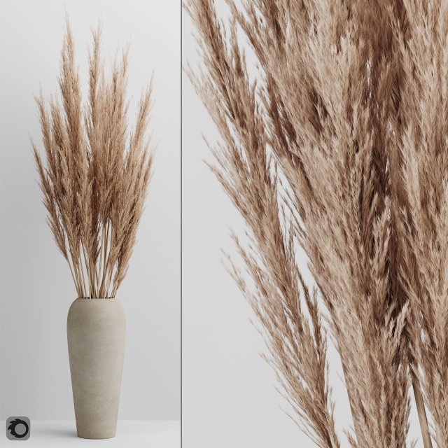 a bunch of pampas 4 Modelo 3D .c4d .max .obj .3ds .fbx .stl .blend 