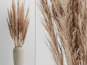 a bunch of pampas 4 3D 模型