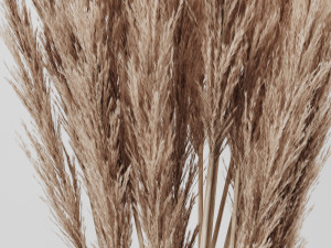 a bunch of pampas 4 Modelo 3D