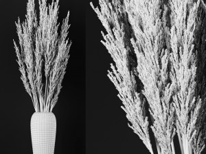a bunch of pampas 4 Modelo 3D