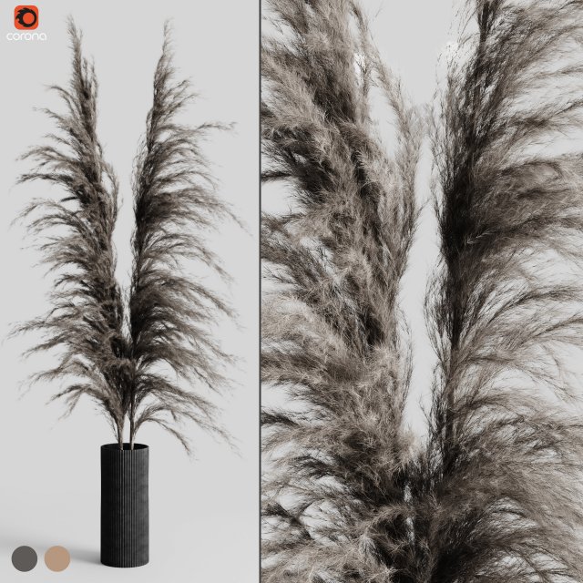 a bunch of pampas 5 Modelo 3D .c4d .max .obj .3ds .fbx .stl .blend 