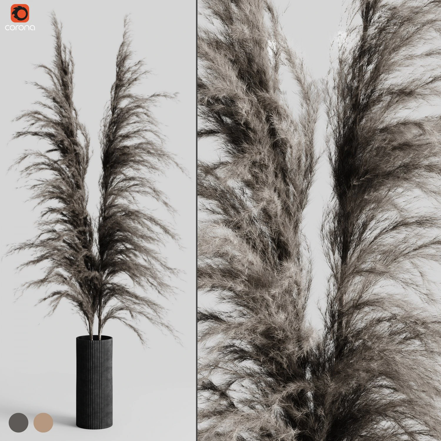 a bunch of pampas 5 3D Model .c4d .max .obj .3ds .fbx .stl .blend 