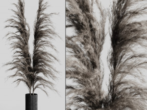a bunch of pampas 5 3D Модель