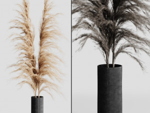 a bunch of pampas 5 Modelo 3D