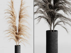 a bunch of pampas 5 3D Model