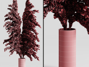 a bunch of pampas 5 Modelo 3D