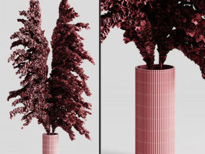 a bunch of pampas 5 3D Model