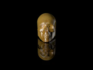 persteni 3D Model