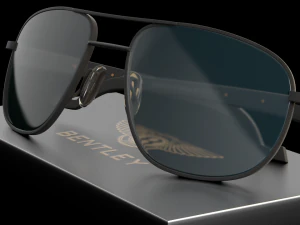 Bentley b-9030 sunglasses 3D Model
