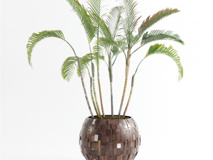 tree combo 3D Model