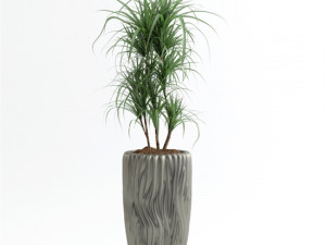 tree combo 3D Model