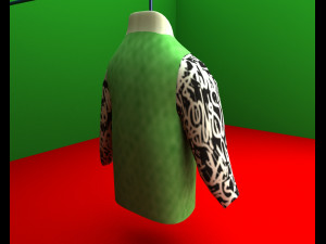 shirt12 Modello 3D