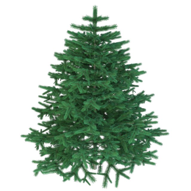 christmas tree 3D Model .c4d .max .obj .3ds .fbx .stl .blend 