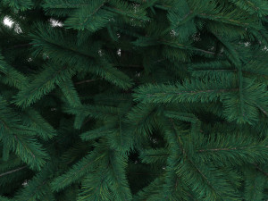 christmas tree 3D Model