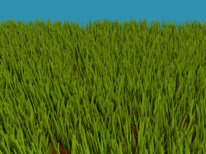 lawn 3D Model