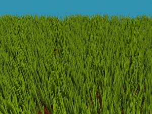 lawn 3D Model