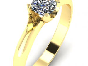 ring 1 3D Print Model