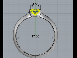 ring 1 3D Принт Модель